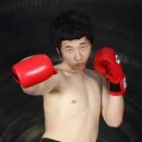 도일격투기 Daum카페