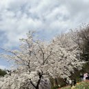 용인대 NO.1 태권도장 이미지