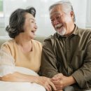 히스토바이오 이미지