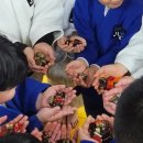 용인대 불당 유도관 이미지