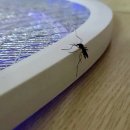 천만명이 본 인생(?)의 마지막 여정.. 이미지