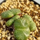 곤의농장 이미지