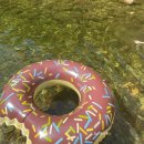 흥정계곡오토캠핑장 | 강원도 평창 흥정계곡 주차, 캠핑장, 평상 명당 스팟 추천