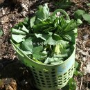 정자리농장 이미지