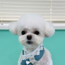 다래미용실 이미지