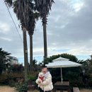 씨엘로 펜션 3 이미지