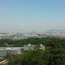 태평로55번길 이미지