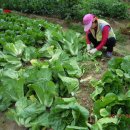 수학경로당 이미지