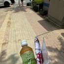 프리밀리 대구점 이미지