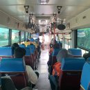 제주에 산다 이미지