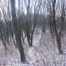 두류2리 이미지