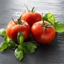 토마토휘트니스클럽 이미지