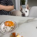 대성동동원교회앞 | 2026년 1-3월 :: 일상 포토덤프