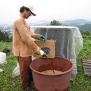 성균농장 이미지