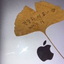 연말의 법칙