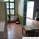 신세계유치원 이미지