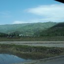 광양농협 앞 버스정류장 이미지