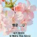 마미토스트&김밥 이미지