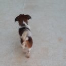 강산농장 이미지