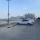 장사항바다향