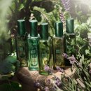 봄정원디자인 이미지