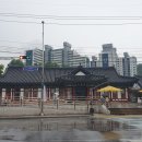 한국동강래프팅