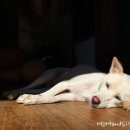 시골대청마루 이미지