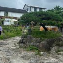 어디까페 이미지