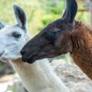 동물원 화장실 이미지