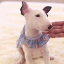 이아이앤테리어 이미지