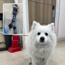 CU청주사창사거리점 이미지