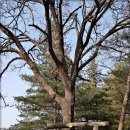 김포평화누리길 1코스 이미지