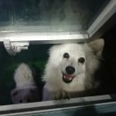 호돌이 당구장 이미지