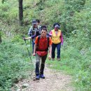 동의보감민박 이미지