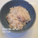 베스트이비인후과 앞 | [편도 완전 절제술 후기] 베스트 이비인후과 입원 및 일주일간 회복 이야기 :)