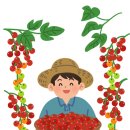 광주일자리소개소