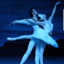 해설이 있는 발레 <백조의 호수> 이미지