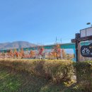 세븐일레븐가평자전거테마파크점 이미지