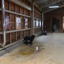 종인목장 이미지