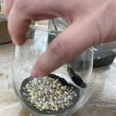 테라리움 | 청주 오송 공방 맛집 이음라탄 원데이클래스 체험 후기 (feat. 테라리움)