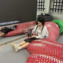 보현상사 | 25년 9월 4주차_막내숭이생일/웁페스티벌/주말순삭