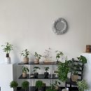 후평동 722-15 이미지