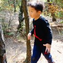 성우유치원 이미지