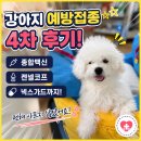 강아지 예방접종 4차 종합백신&켄넬코프 후기!