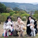 하늘하개 이미지