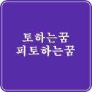 토하는꿈 분류별 풀이 피 토하는 꿈 의미 이미지