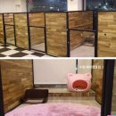 해피펫클럽 이미지