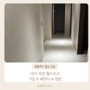 와룡로 | 대구 죽전 월드마크 거실, 배란다, 현관 퍼플렉스 P30 줄눈 시공 후기