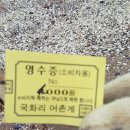 국화리어촌계