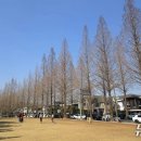 성산구 ⓒ-21 이미지